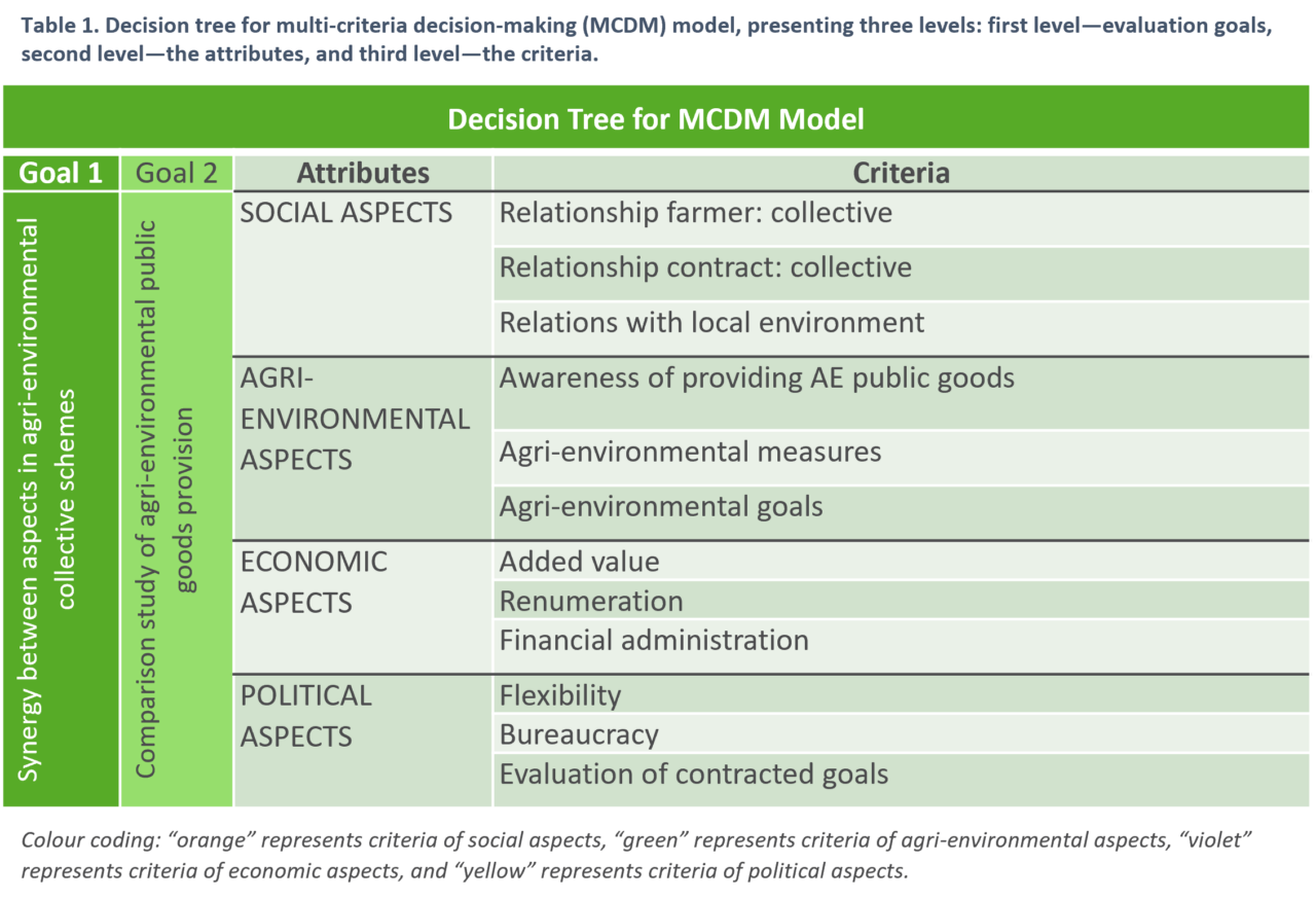 How To Utilize SWOT Results In A Multi Criteria Decision Making (MCDM ...